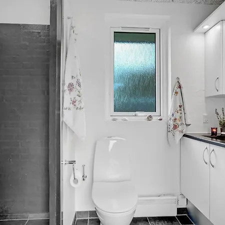Tatil Evi Pet Friendly Home In Skals With Wifi *